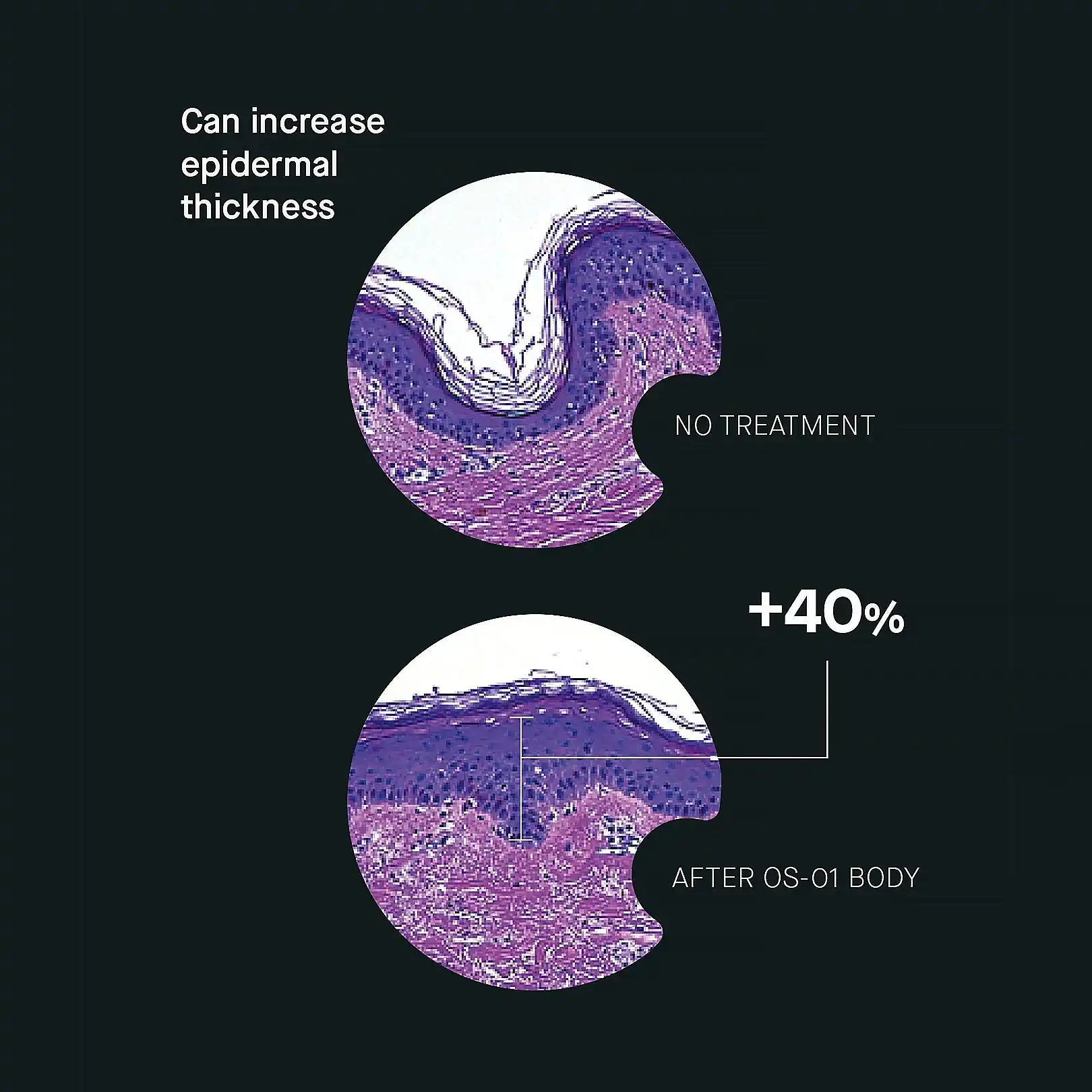 COMPLETE SKIN LONGEVITY REGIMEN - Image 8